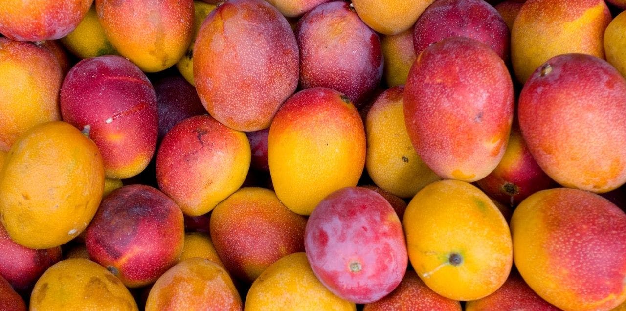 pakistan-is-able-to-produces-sugar-free-mangoes